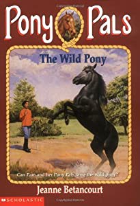 The Wild Pony(中古品)