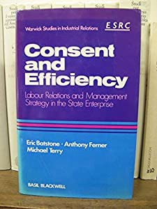 Consent and Efficiency: Labour Relations and Management Strategy in the State Enterprise (Warwick Studies in Industrial 