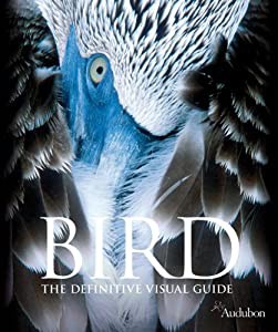 Bird: The Definitive Visual Guide(中古品)