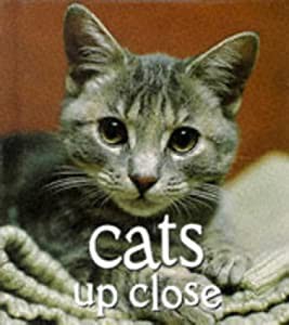 Cats Up Close (Tiny Folios Series)(中古品)