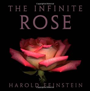 The Infinite Rose(中古品)