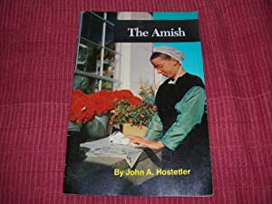 Amish(中古品)