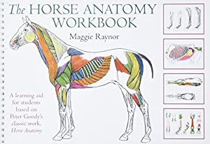 THe Horse Anatomy Workbook: A Learning Aid for Students Based on Peter Goody's Classic Work  Horse Anatomy(中古品)