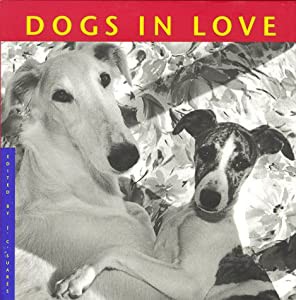 Dogs in Love(中古品)