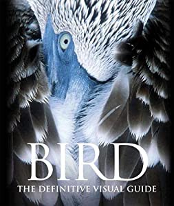 Bird: The Definitive Visual Guide(中古品)