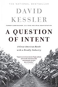 A Question Of Intent: A Great American Battle With A Deadly Industry (Great American Battle with with a Deadly Industry)