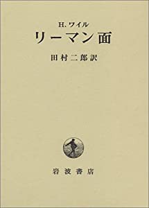 リーマン面(中古品)