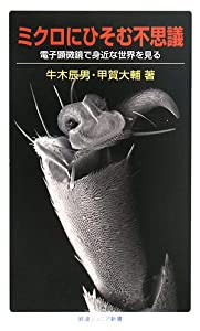 ミクロにひそむ不思議―電子顕微鏡で身近な世界を見る (岩波ジュニア新書)(中古品)