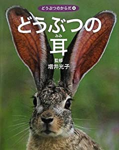 どうぶつの耳 (どうぶつのからだ)(中古品)