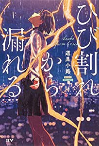 ひび割れから漏れる(中古品)