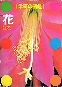 花 (学研の図鑑)(中古品)