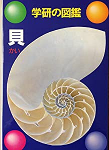 学研の図鑑 52 貝(中古品)