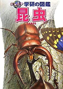 昆虫 (ジュニア学研の図鑑)(中古品)