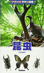 昆虫 (新ポケット版 学研の図鑑)(中古品)