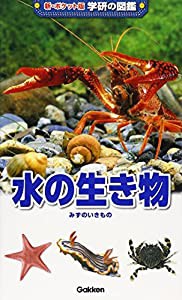 水の生き物 (新ポケット版学研の図鑑)(中古品)