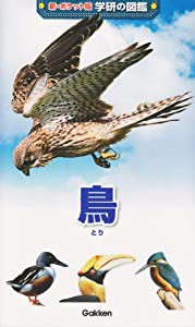 鳥 (新ポケット版学研の図鑑)(中古品)