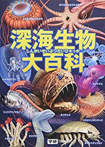 深海生物大百科(中古品)