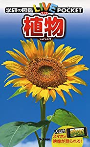 植物 (学研の図鑑ライブポケット)(中古品)