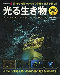 光る生き物 DVD付 (学研の図鑑LITE)(中古品)