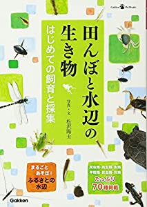 田んぼと水辺の生き物 はじめての飼育と採集 (Gakken Pet Books)(中古品)