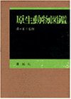 原生動物図鑑(中古品)