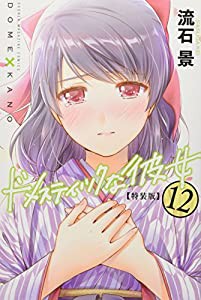 ドメスティックな彼女(12)特装版 (プレミアムKC)(中古品)