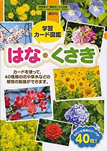 学習カード図鑑 はな・くさき ([バラエティ])(中古品)