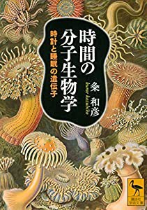 時間の分子生物学 時計と睡眠の遺伝子 (講談社学術文庫)(中古品)