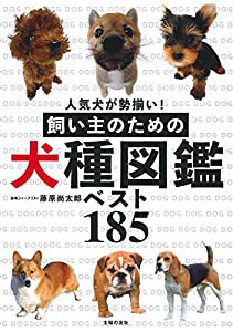 飼い主のための犬種図鑑ベスト185(中古品)