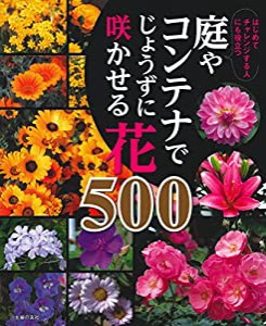 庭やコンテナでじょうずに咲かせる花500(中古品)