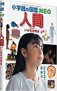 人間・いのちの歴史 (小学館の図鑑NEO)(中古品)