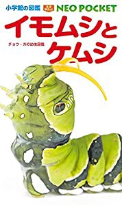 イモムシとケムシ: チョウ・ガの幼虫図鑑 (小学館の図鑑ネオぽけっと 11)(中古品)