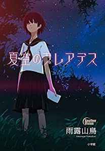 夏空のプレアデス(中古品)