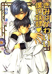 きみはかわいい僕の奴隷 (パレット文庫)(中古品)