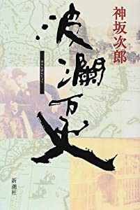 波瀾万丈(中古品)