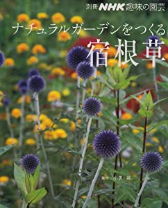 ナチュラルガーデンをつくる 宿根草 (別冊NHK趣味の園芸)(中古品)