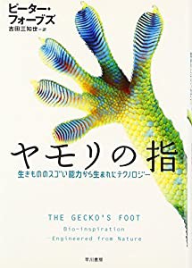 ヤモリの指―生きもののスゴい能力から生まれたテクノロジー(中古品)