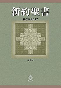 新約聖書 新改訳2017〈中型版〉 [詩篇付・注付] NSP-20 (新改訳聖書センター)(中古品)