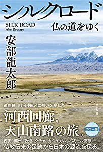 シルクロード 仏の道をゆく(中古品)