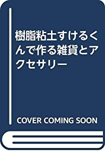 樹脂粘土すけるくんで作る雑貨とアクセサリー(中古品)