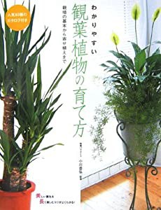 わかりやすい観葉植物の育て方―栽培の基本から寄せ植えまで(中古品)