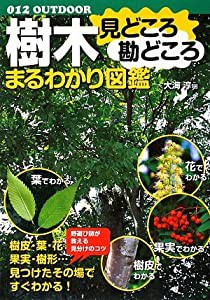 樹木見どころ勘どころまるわかり図鑑 (OUTDOOR)(中古品)