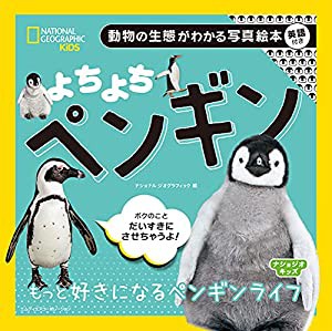 ナショジオキッズ よちよち ペンギン(中古品)