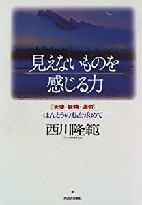 見えないものを感じる力—天使・妖精・運命 ほんとうの私を求めて(中古品)