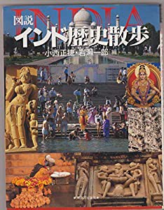 図説 インド歴史散歩 (河出の図説シリーズ)(中古品)