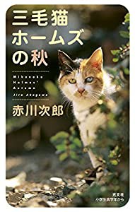 三毛猫ホームズの秋 (BOOK WITH YOU)(中古品)