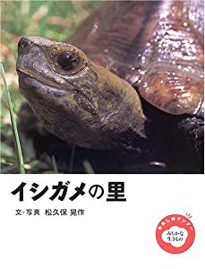 イシガメの里 (わたしのワンダー みぢかな生きもの)(中古品)