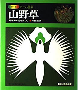 山野草—野趣ある花を楽しむ (カラー版ホーム園芸)(中古品)