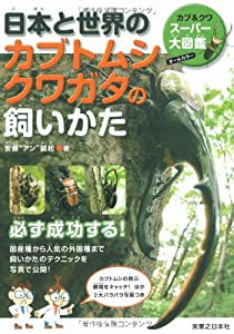 日本と世界のカブトムシ クワガタの飼いかた(中古品)