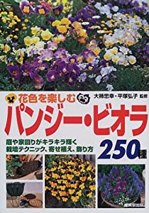 花色を楽しむパンジー・ビオラ250種―庭や家回りがキラキラ輝く栽培テクニック(中古品)